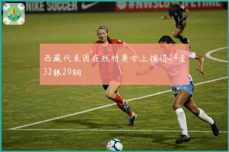 西藏代表团在残特奥会上摘得24金32银20铜